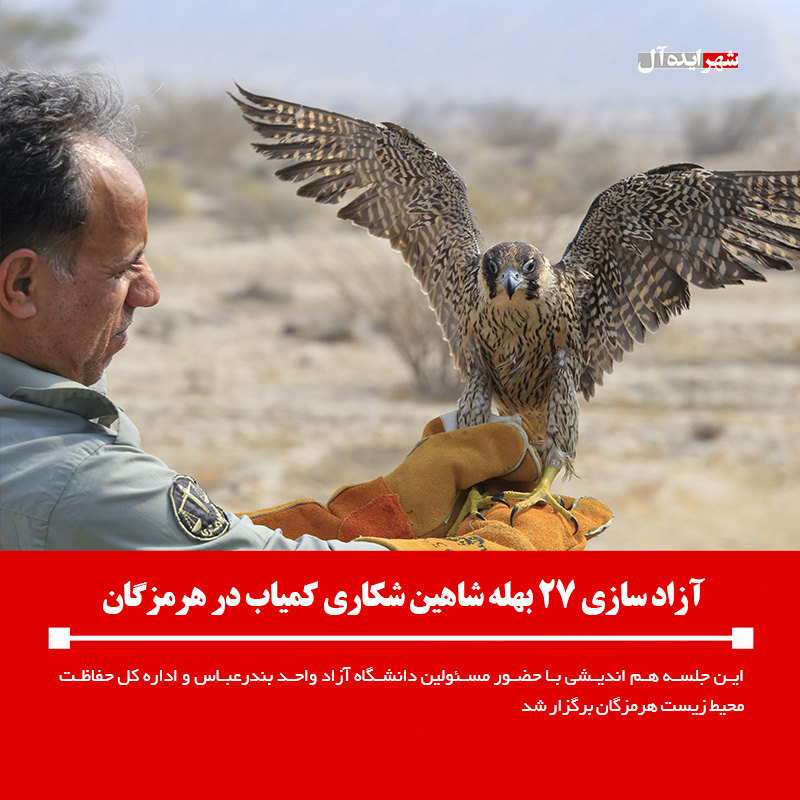 آزاد سازی ۲۷ بهله شاهین شکاری کمیاب در هرمزگان